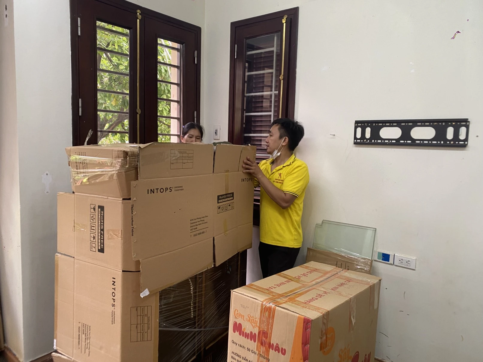 Hình ảnh vận chuyển Kiến Vàng 6