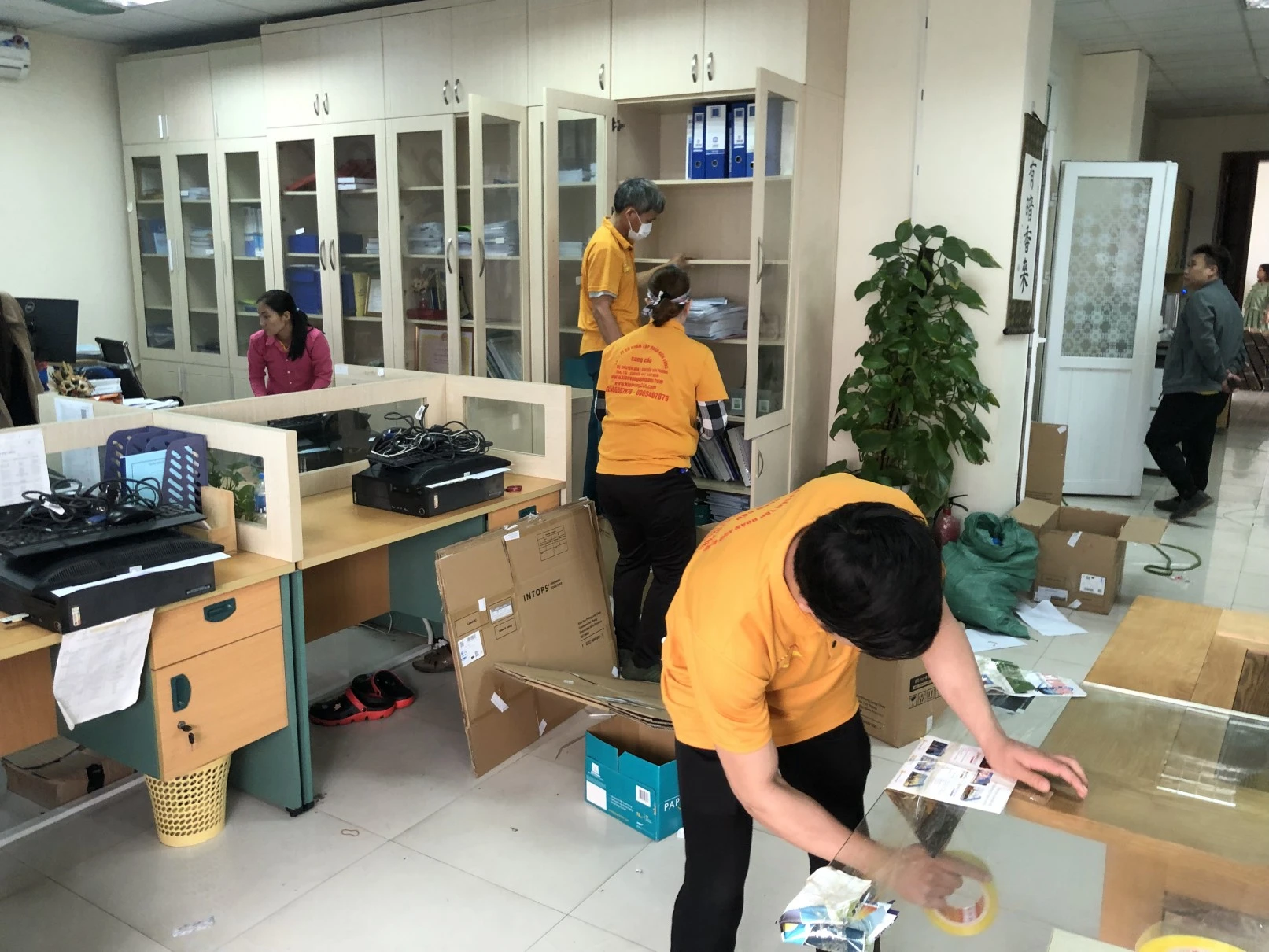 Hình ảnh vận chuyển Kiến Vàng 3