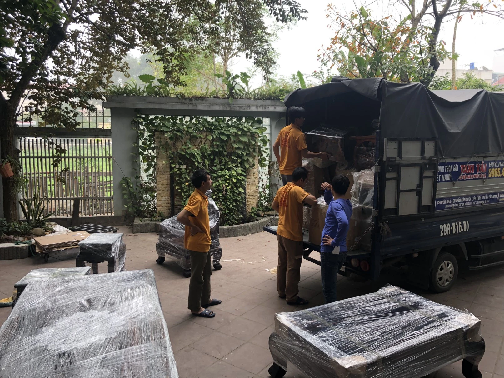 Hình ảnh vận chuyển Kiến Vàng 1